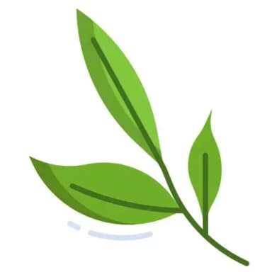 SOKOCHAPP